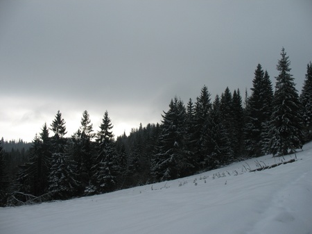 Зимова прогулянка Бескидами